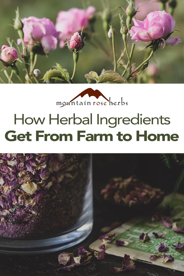 Pinterest image for how herbal ingredients get from farm to home. 