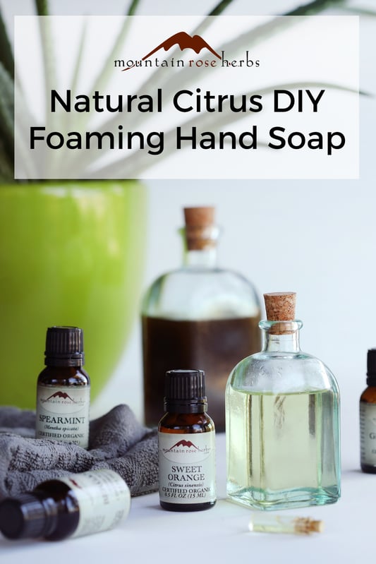 Ingredients are gathered to make a natural DIY foaming hand soap using organic essential oils, natural castille liquid soap, and organic avocado oil as a carrier oil. 