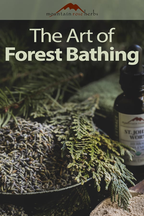 The Art of Forest Bathing Pinterest pin for Mountain Rose Herbs.