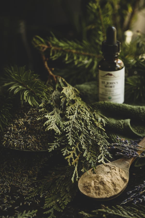 Cedar and pine boughs with a bottle of St. John's Wort tincture.