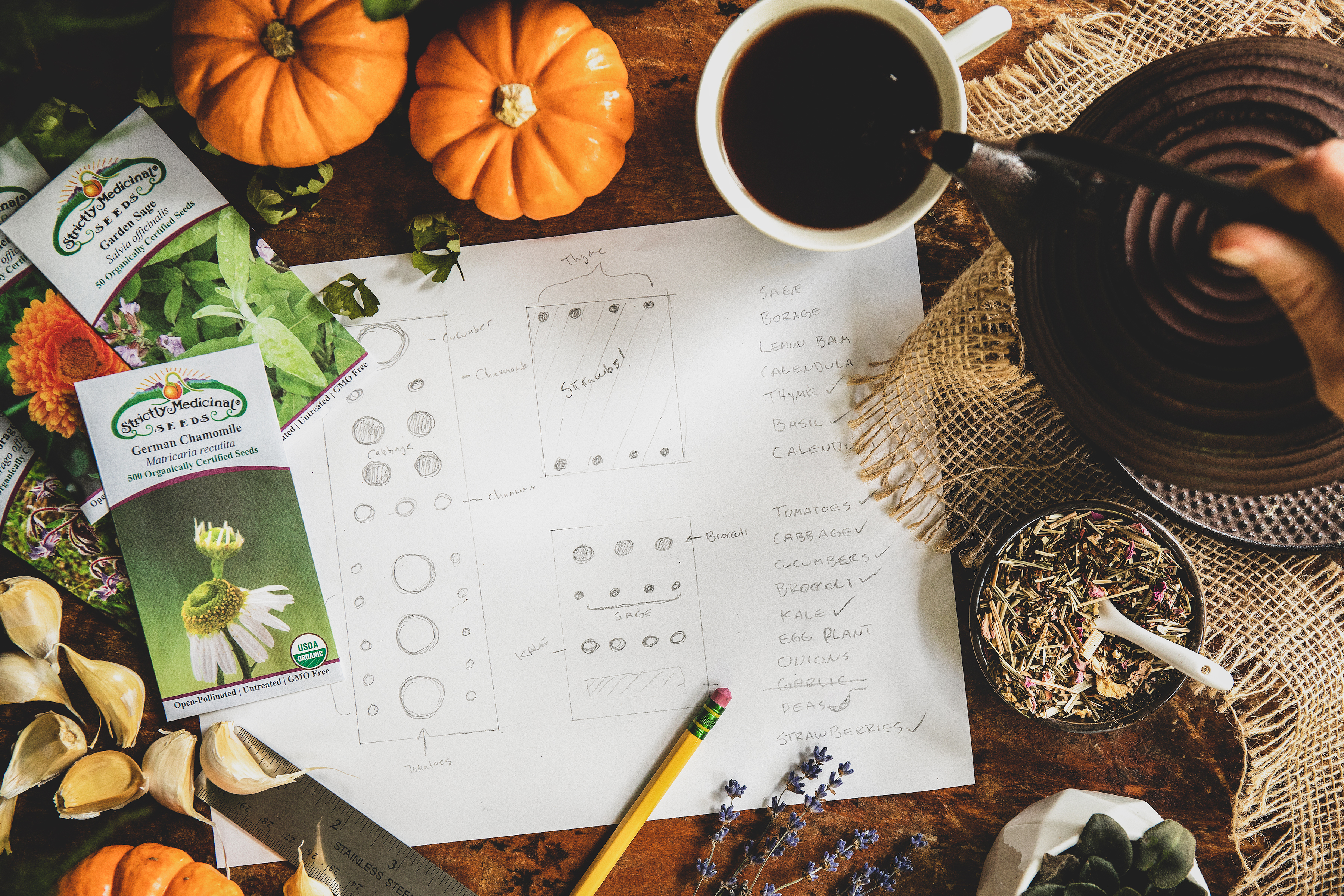 Hand written garden plan with seed packets.  pouring a cup of tea in fall scene. 