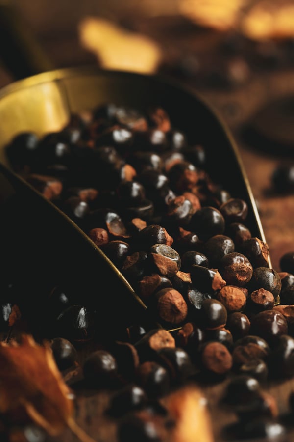 Gaurana seeds spilling out of scoop