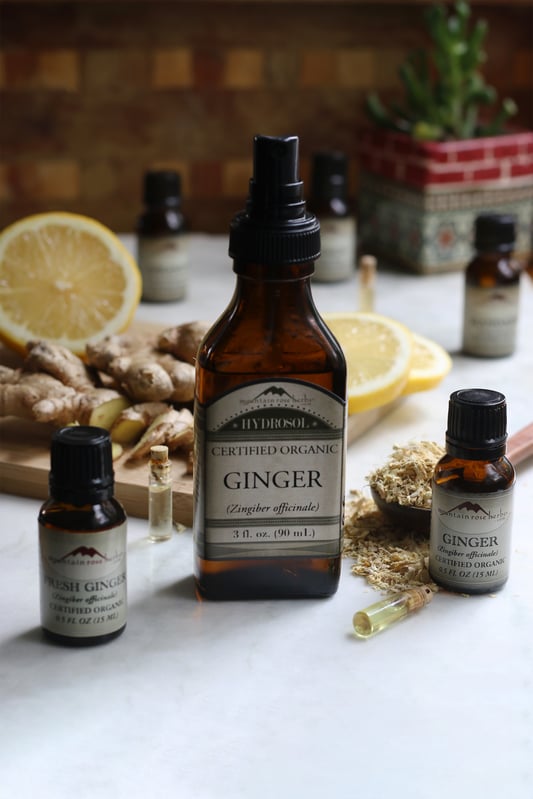 Aromatherapy products featuring ginger root. Organic ginger hydrosol, organic fresh ginger and organic dried ginger essential oils arranges with fresh lemon slices and herbs. 