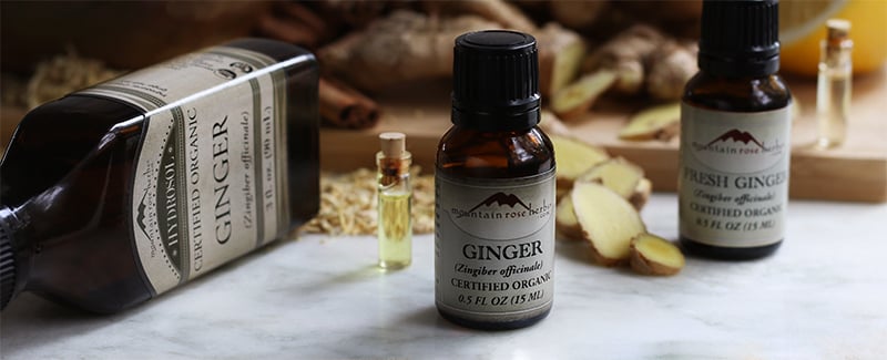 Organic ginger aromatherapy products including ginger hydrosol, fresh ginger essential oil, and dried ginger essential oil.