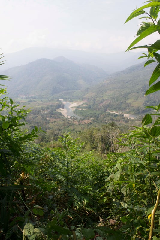 View of Peruvian mountains and valley from hillside of ginger farm