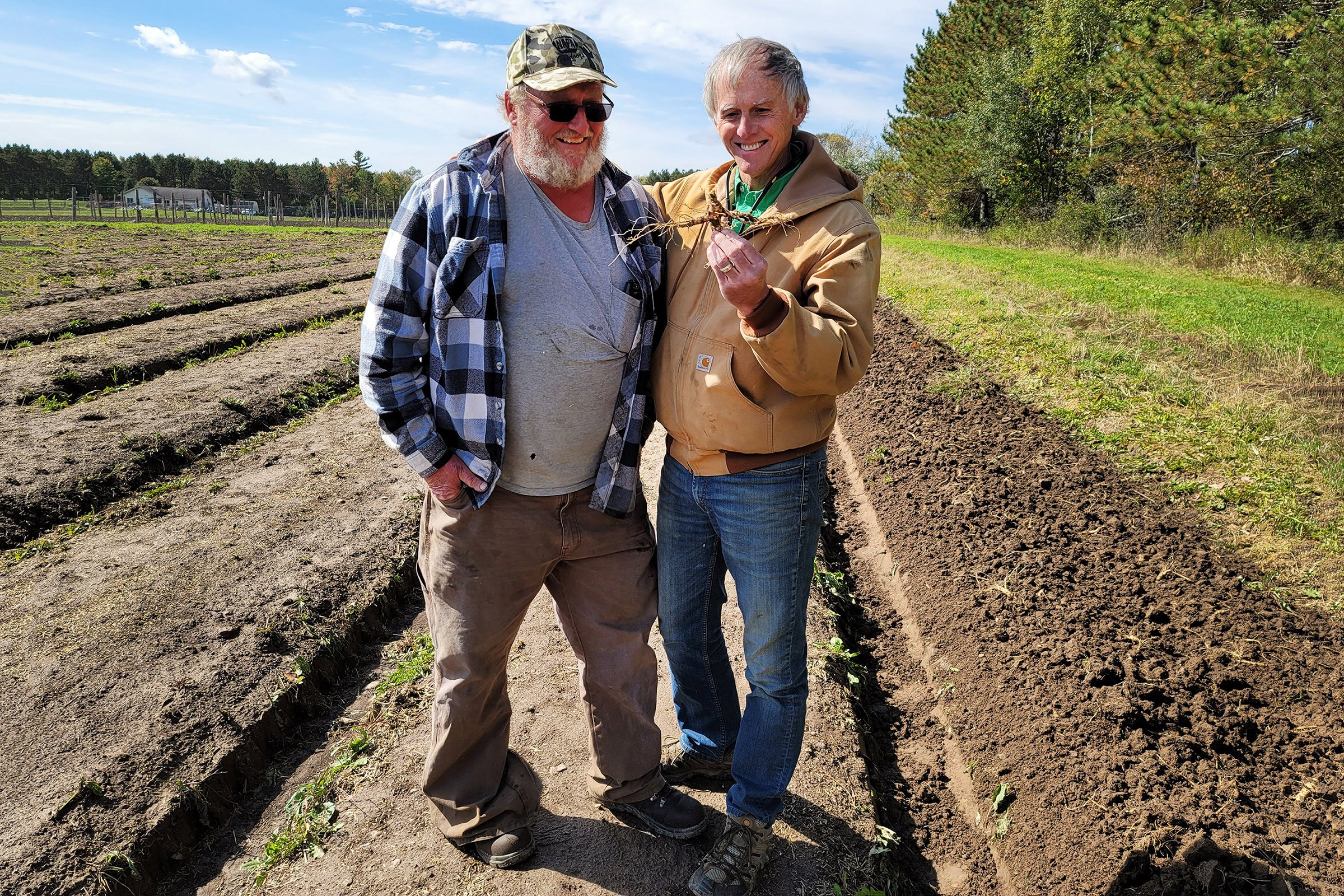 Ginseng Farmers