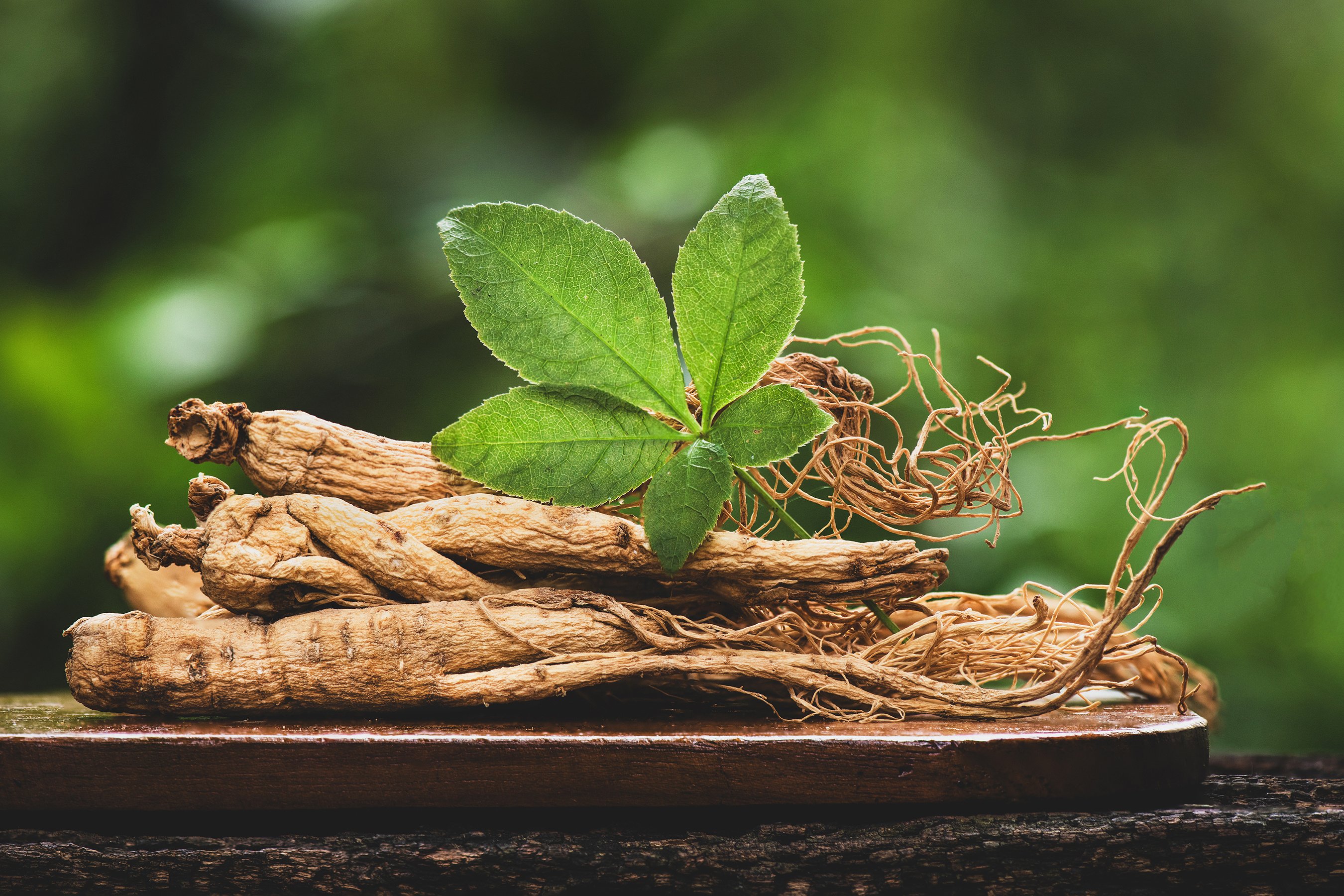 Ginseng Root and Leaf