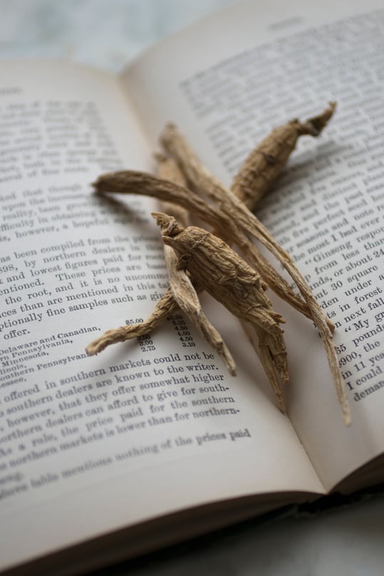 4 peices of forest grown ginseng sitting in the crease of an open book