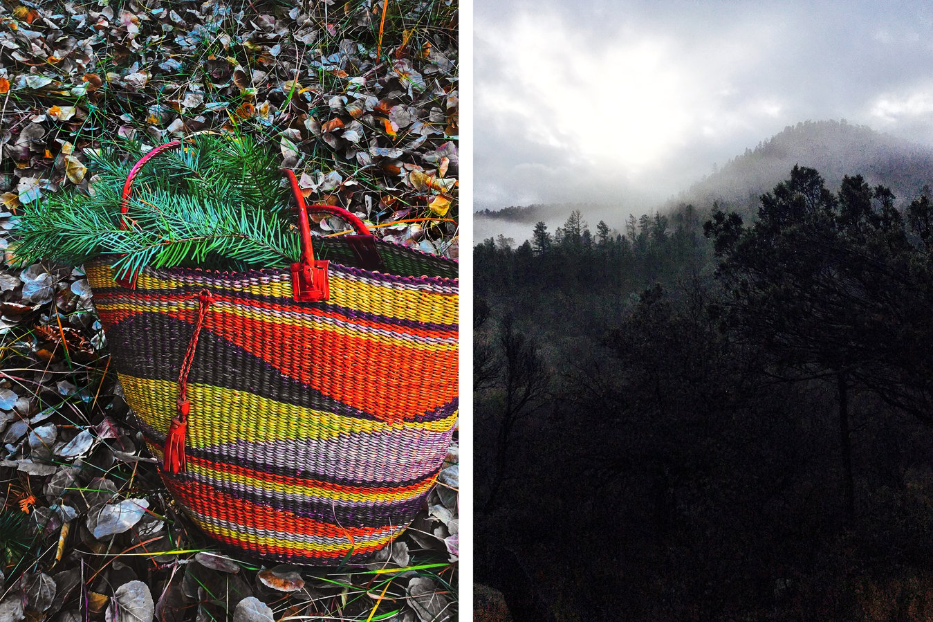 Two photos side by side. On the left is a colorful woven basket with wildharvested plants. On the right is a photo of the Gila Wilderness. Photos by Kiva Rose Hardin.