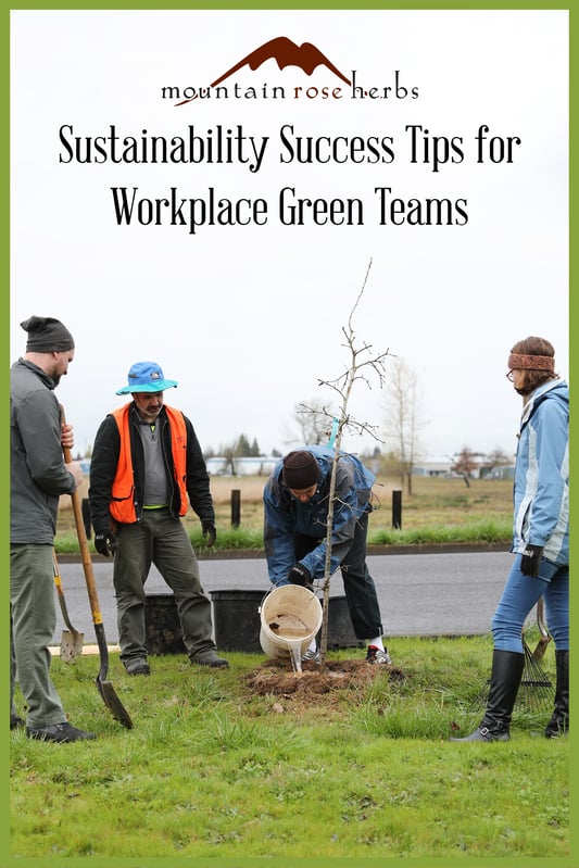 Pinterest link to Mountain Rose Herbs pin for Tips for Corporate Green Teams and how they can help your organization be more sustainable and profitable. Volunteers plant trees in early spring in Oregon.