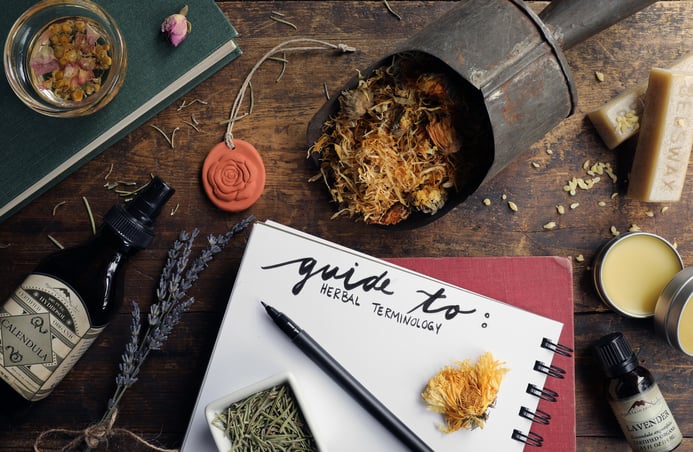Notebook with pen and herbal intgredients and fresh herbs for learning herbal educatio