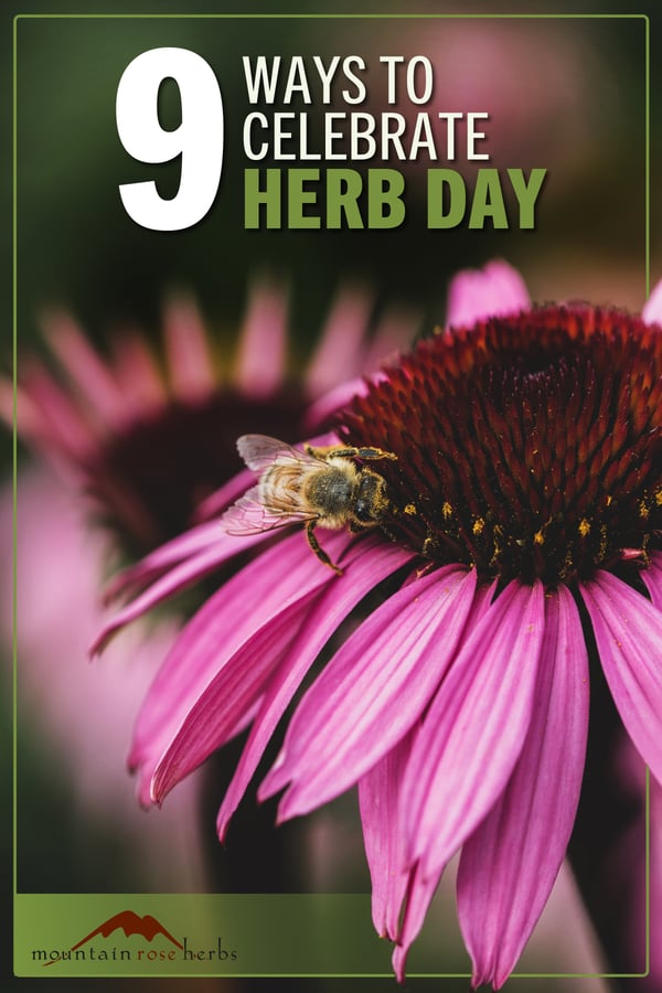 A close up photo of echinacea with a bee covered in pollen. The photo has text that says "9 Ways To Celebrate Herb Day" with a green border.