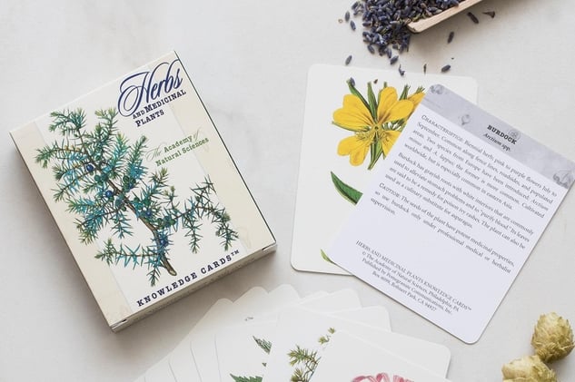 Herbal knowledge card set and individual cards laying out on a table for use