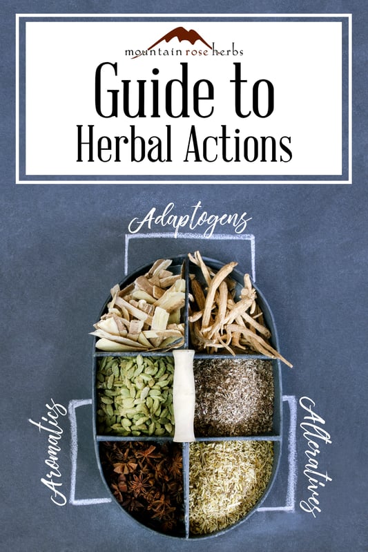 Pin for Guide to Herbal Actions from Mountain Rose Herbs