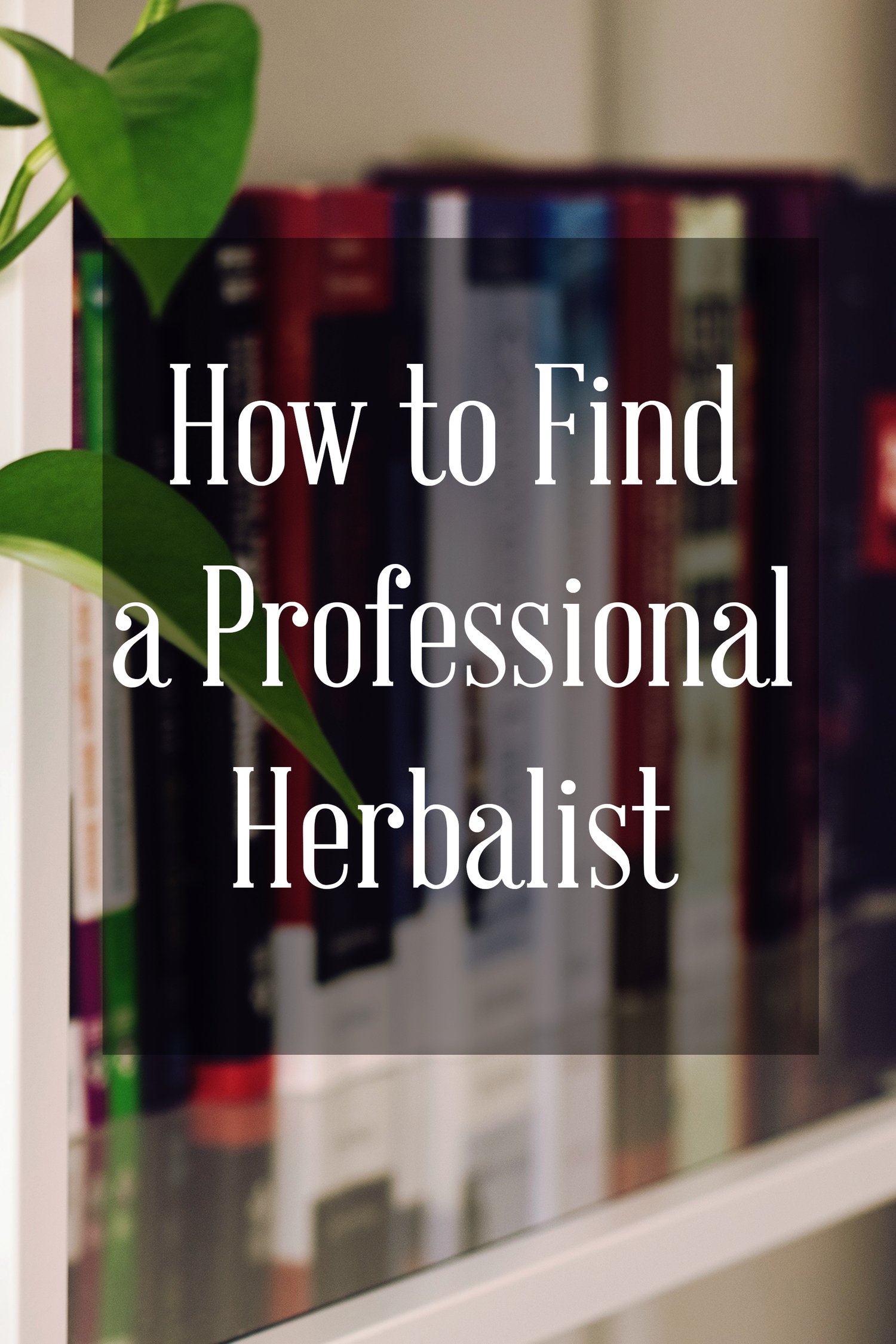 How to Find a Qualified Naturopathic Herbalist or Doctor