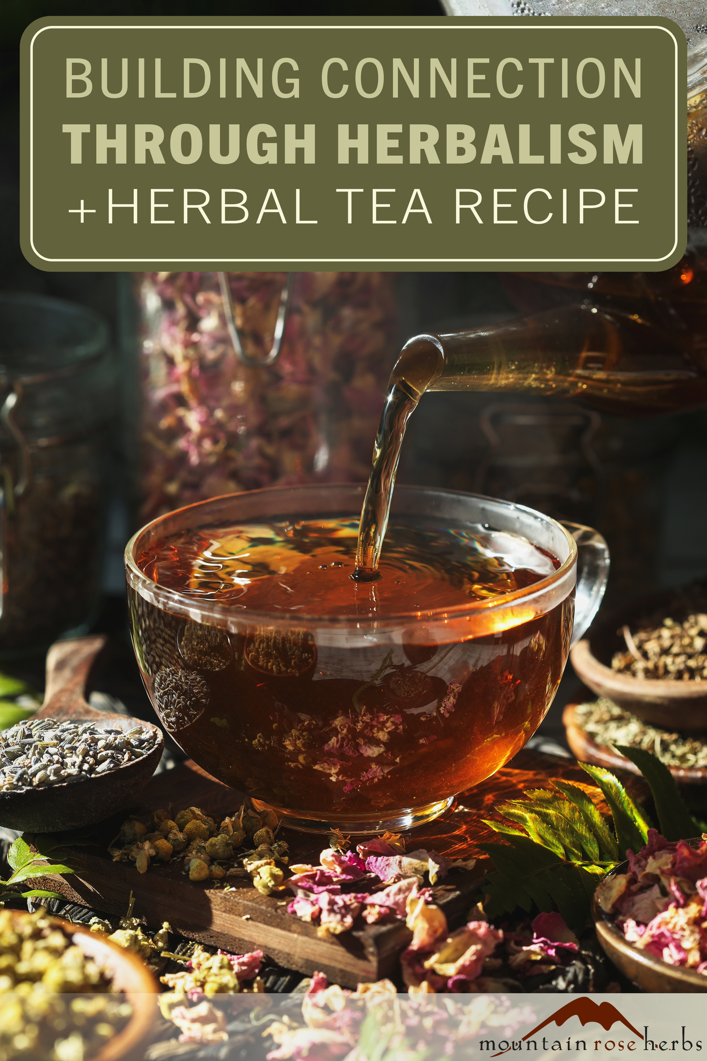 Building Connection Through Herbalism + Herbal Ceremony Tea Recipe