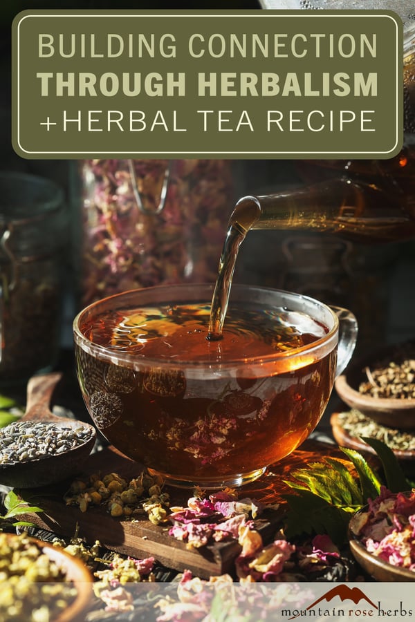 A photo of tea pouring into a glass with a green rectangle at the top with text saying "Building Connection through Herbalism + Herbal Tea Recipe" with a link to Pinterest.