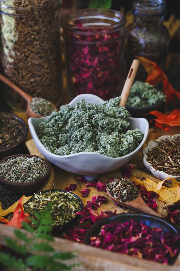Herbs for Going Inward Vertical