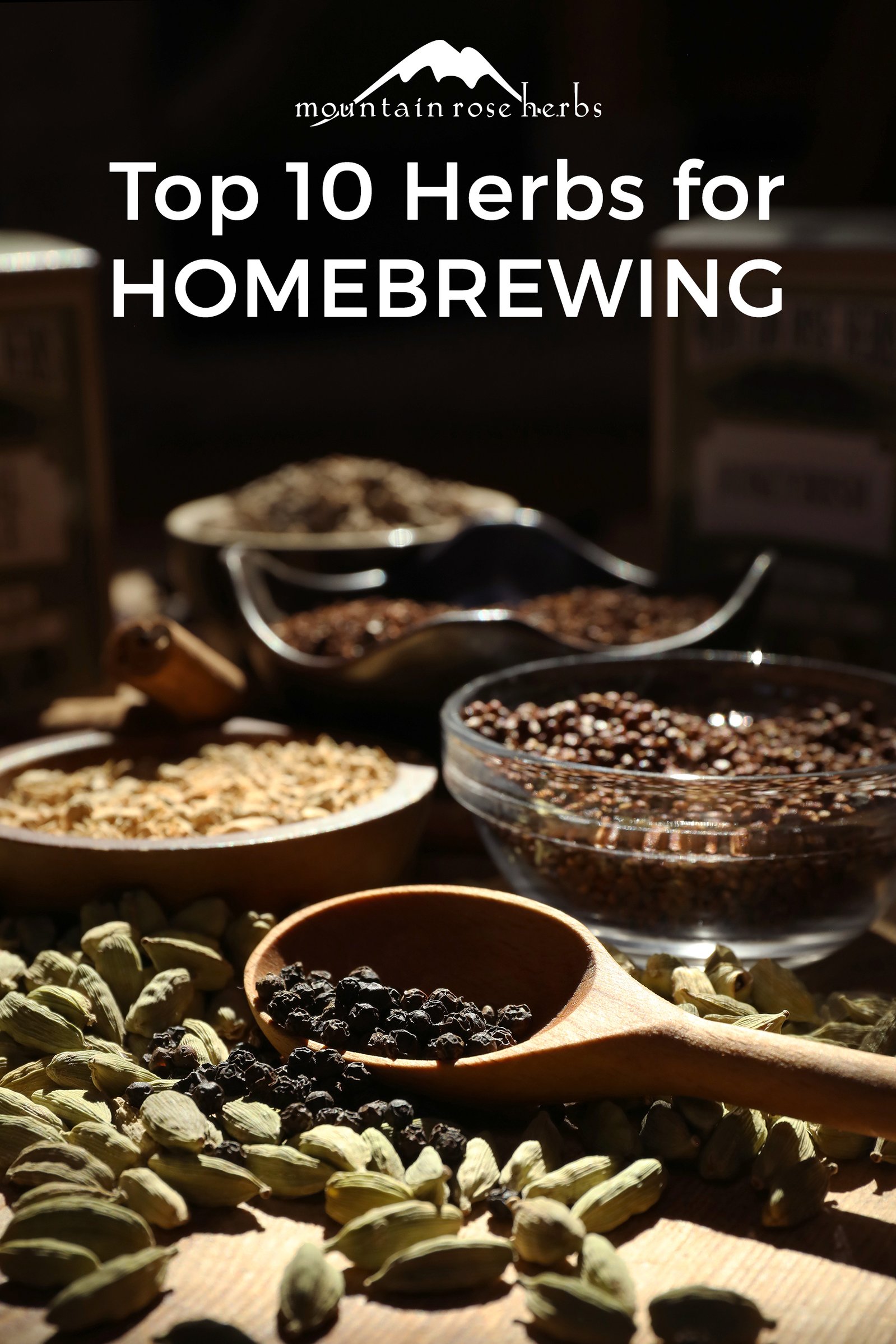 10 Best Herbs & Spices for Brewing Beer