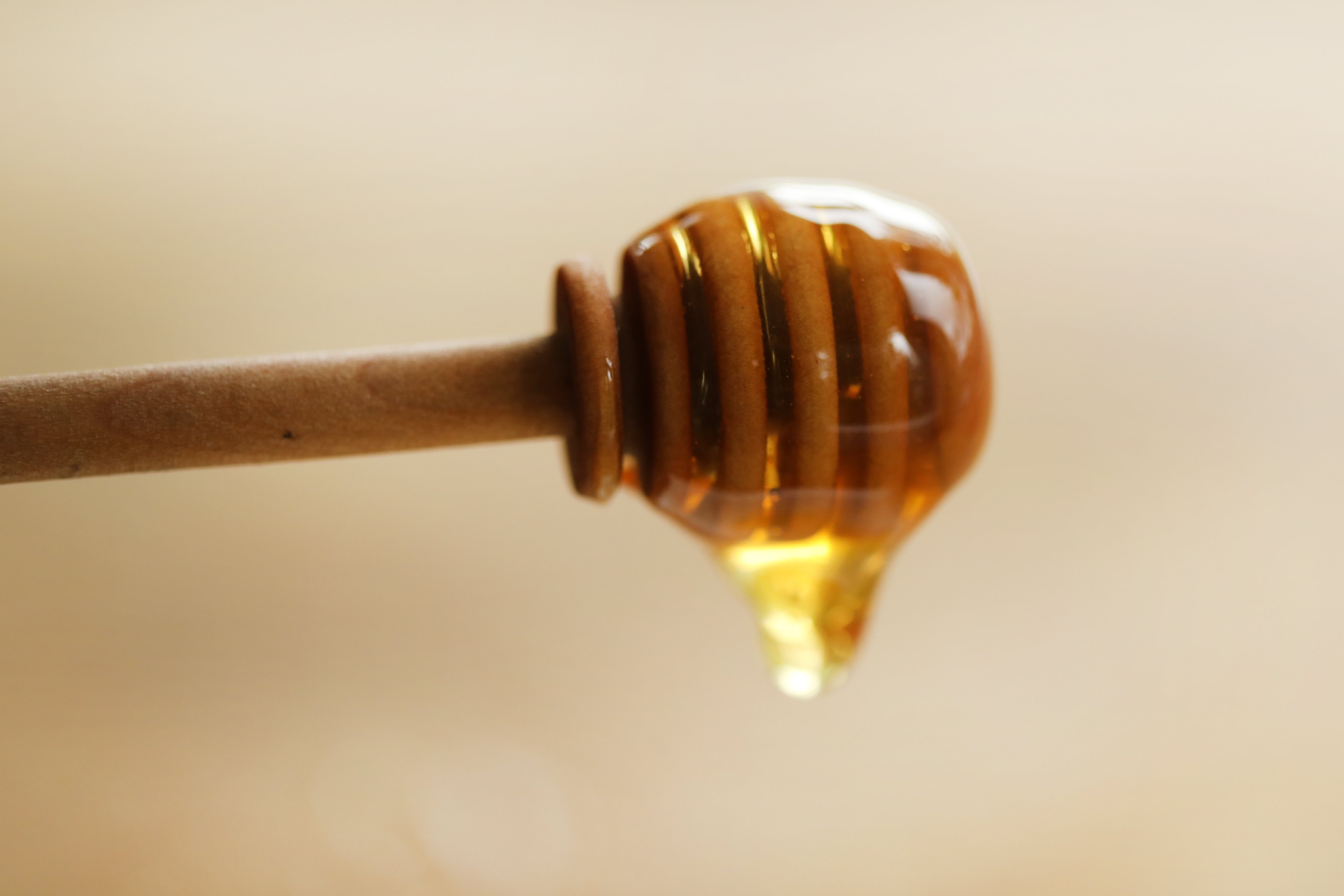 A wooden honey dipper drips with thick golden honey.