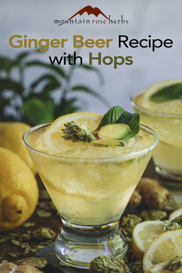 Hoppy ginger beer for Pinterest