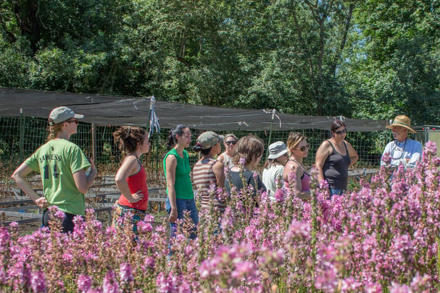 Mountain Rose Herbs employees at Mountain Rose River Project event