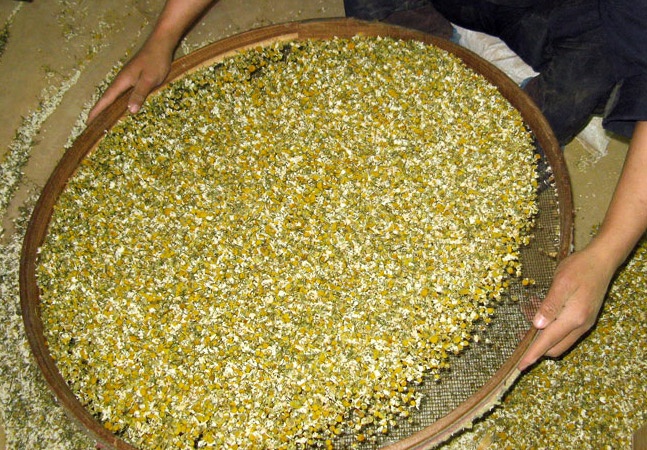 Farm Stories: Sourcing Egyptian Herbs