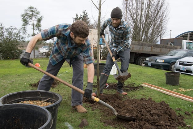 Mountain Rose Staff Planting Native Trees at West Eugene Facility