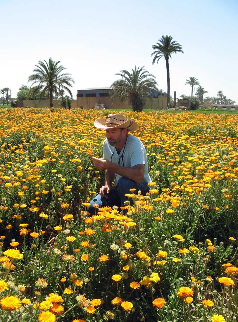 Farm Stories: Sourcing Egyptian Herbs