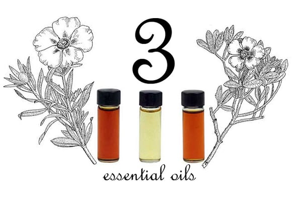 3essentialoils