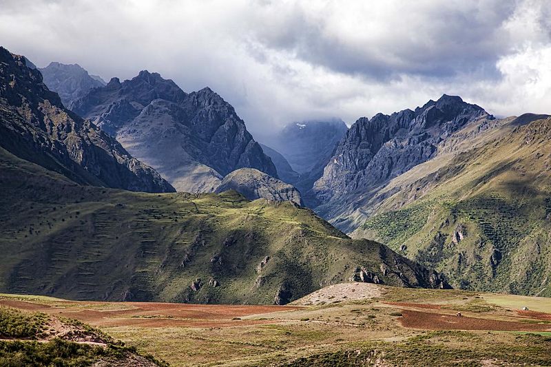 The Future of Maca in Peru