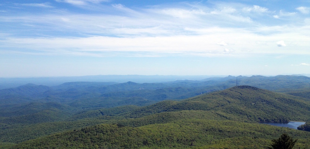 Farm Stories: Medicinal Herbs of Appalachia