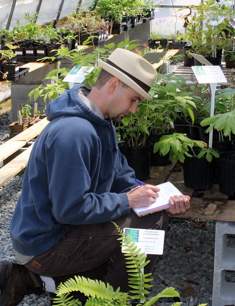 Farm Stories: Medicinal Herbs of Appalachia