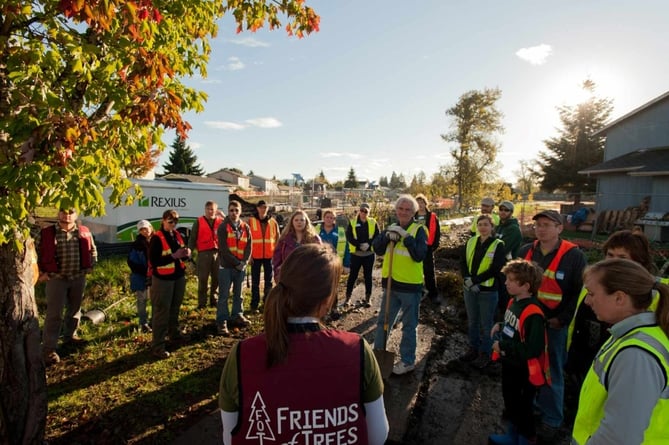 Eco-Projects: Tree Planting