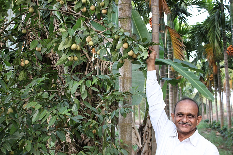 Smiling man holding branch on his fair trade and organic farm in India