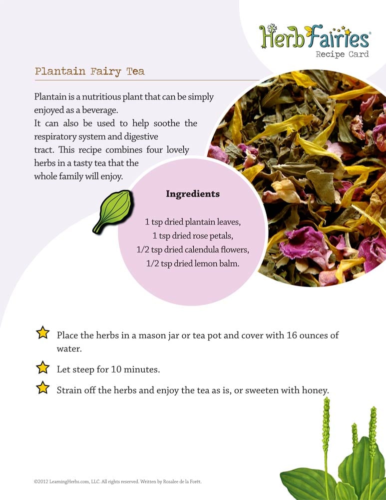 What do Herb Fairies Drink?