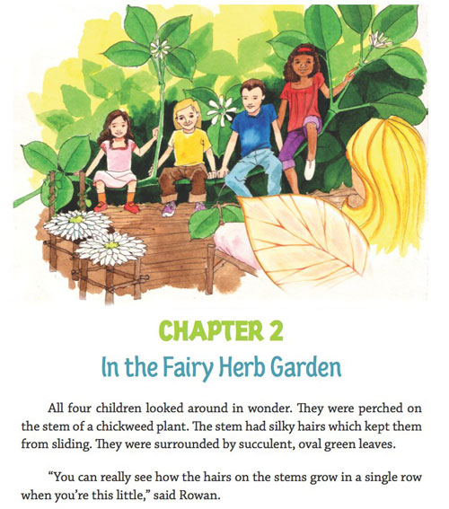 The Herb Fairies are Coming!