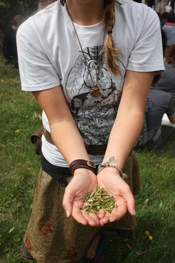 The Sky-Island Herbal Gathering: September Rendezvous on Our Paths Healing