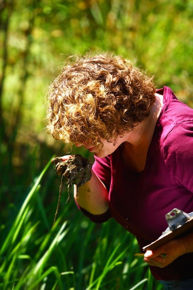 Mountain Rose Herbs - Sustainability