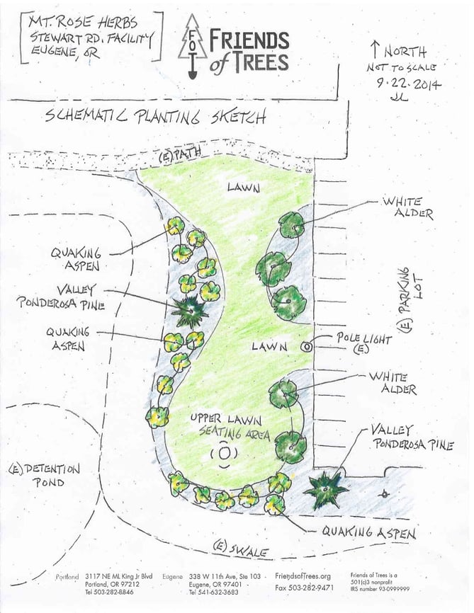 Mountain Rose Herbs Friends of Trees Schematic Planting Sketch