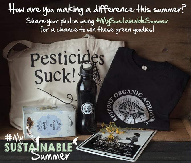 #MySustainableSummer Prize