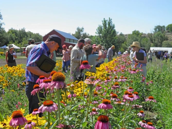 People Enjoying Flowers