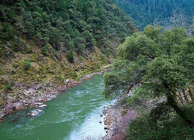 Pacific Rivers Council - Mountain Rose Herbs Guest Blog