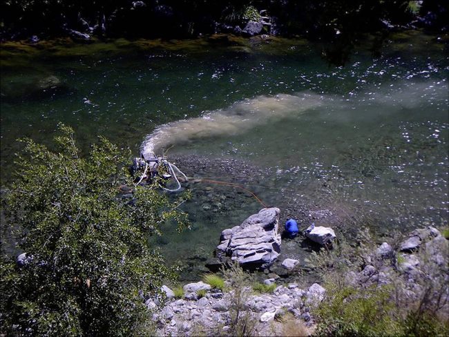 Double Your Donation: Safeguard Salmon from Suction Dredge Mining