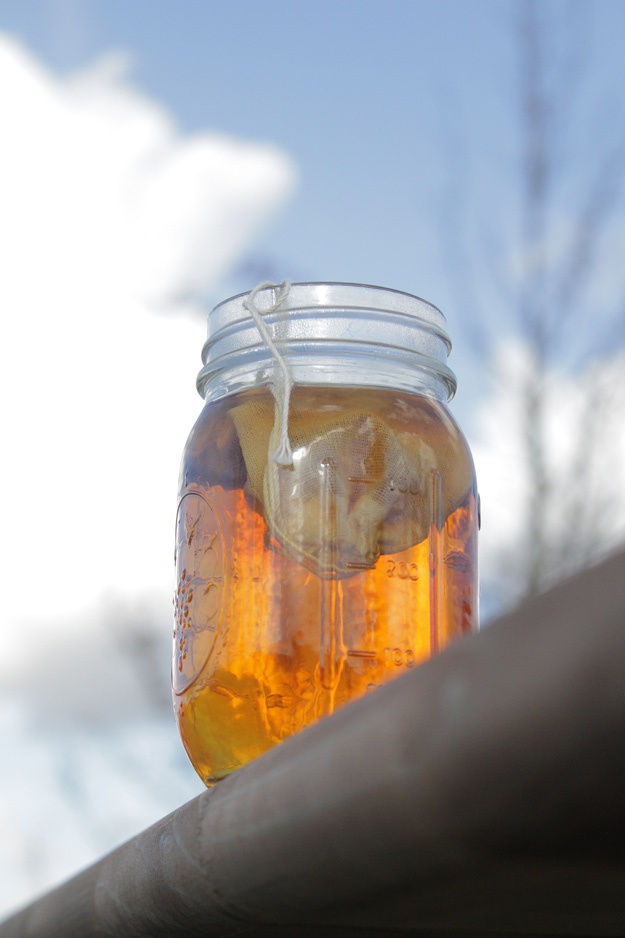 Sun Tea 