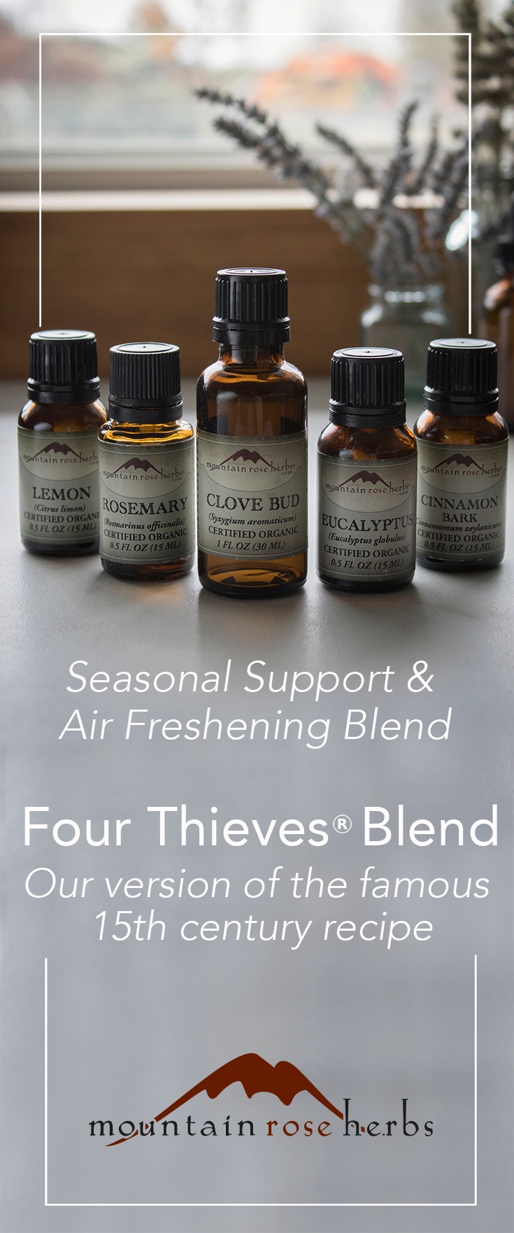 Thieves Oil Essential Oils Recipe and 5 Common Ways to Use It  Thieves oil  recipe, Essential oils herbs, Essential oil recipes