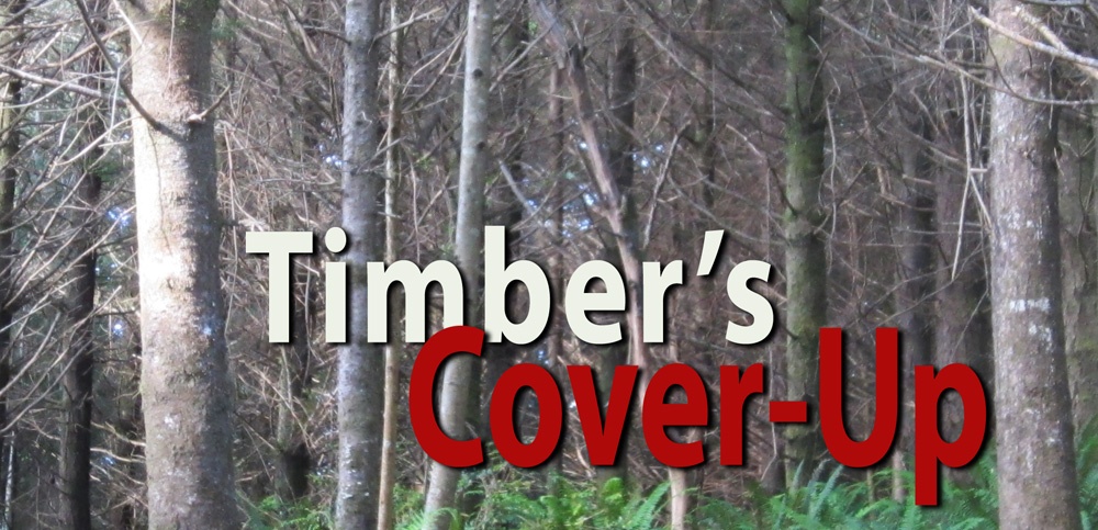 Timber’s Cover-Up