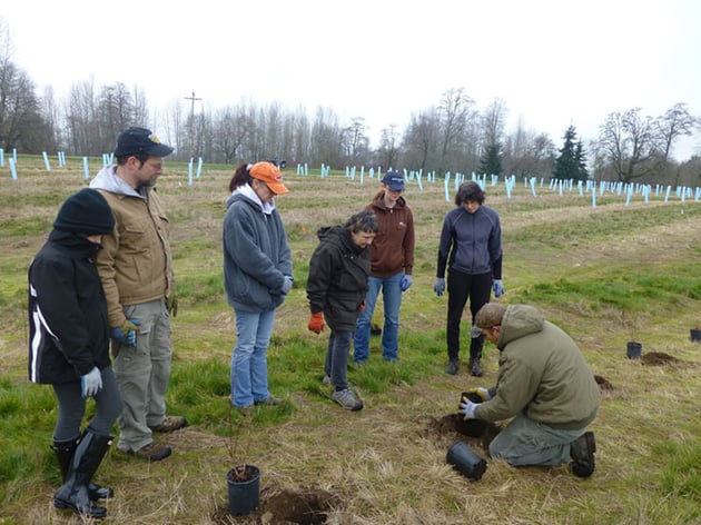 Treeplanting2