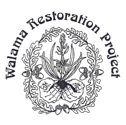 Walama-Restoration-Project