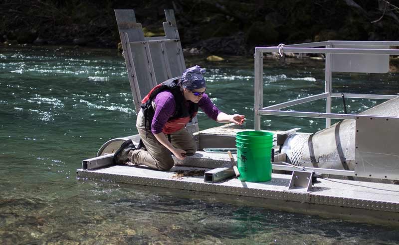 Meghan Horne-Brine, Fish Technician with the Oregon Department of Fish and Wildlife